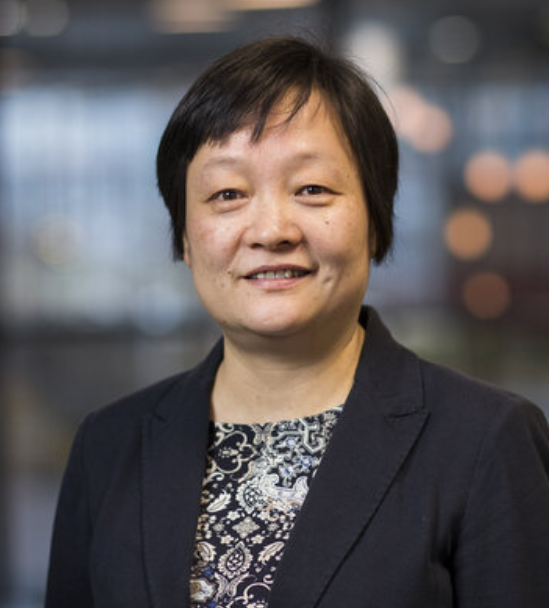 Qi Han